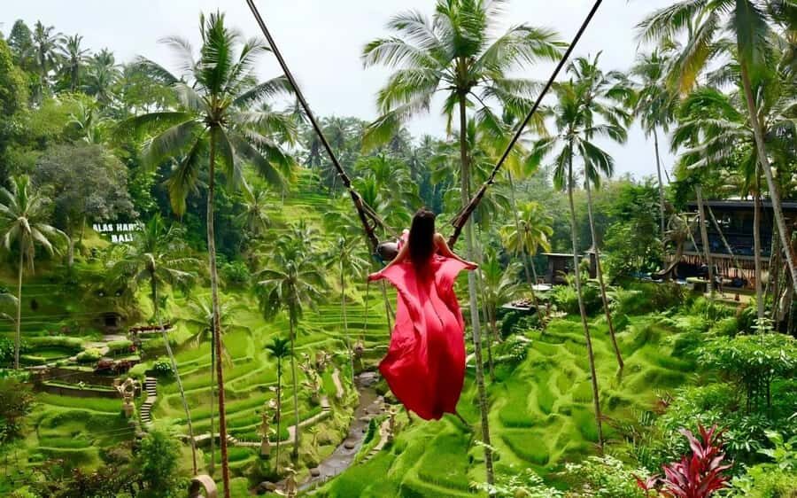 Bali--Honeymoon Romantic Package 5D4N - Transport, Group Size, and Overall Value