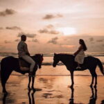 Bali Horse Riding Seminyak Beach Experience Private Transport - The Value Proposition