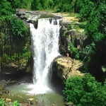 Bali Horse Riding + Waterfall + Rice Terrace + Lunch - What Travelers Say: Authentic Insights