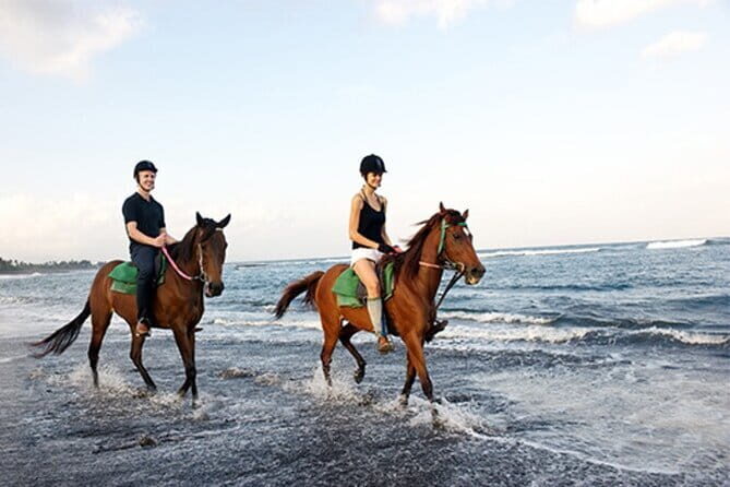 Bali Horse Riding, Waterfall, Rice Terrace, Lunch - All Inclusive - Exploring Bali’s Stunning Coastline on Horseback