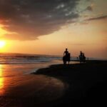 Bali: Horseback Riding Tour - Rice Fields & Pig Stone Beach - A Gentle Ride Through the Rice Fields