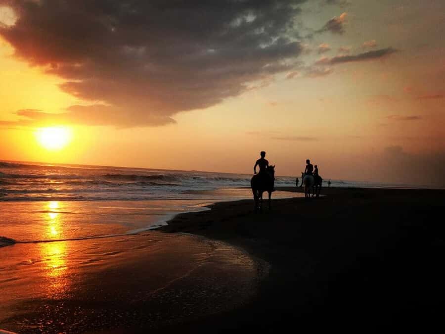 Bali: Horseback Riding Tour - Rice Fields & Pig Stone Beach - A Gentle Ride Through the Rice Fields