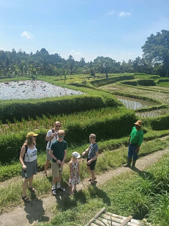 Bali: Jatiluwih Trek via Senganan Village  with local guide - Learning About Local Farming Life