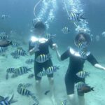 Bali: Jetski Adventure Nusa Dua or Sea Walker Experience - What to Expect: A Dive Into the Experience