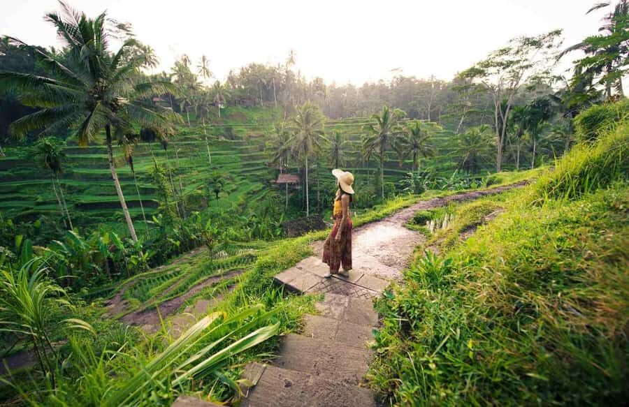 Bali: Jewelry Workshop & Rice Terrace Trekking Experience - Final Thoughts