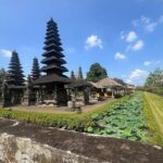 Bali Jungle Adventure: Swing Heaven, Monkey Forest & Temple - Who This Tour Is Perfect For