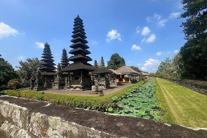 Bali Jungle Adventure: Swing Heaven, Monkey Forest & Temple - Who This Tour Is Perfect For