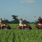 Bali Jungle ATV Adventure: Rivers, Caves & Waterfalls - Who Will Love This Tour?