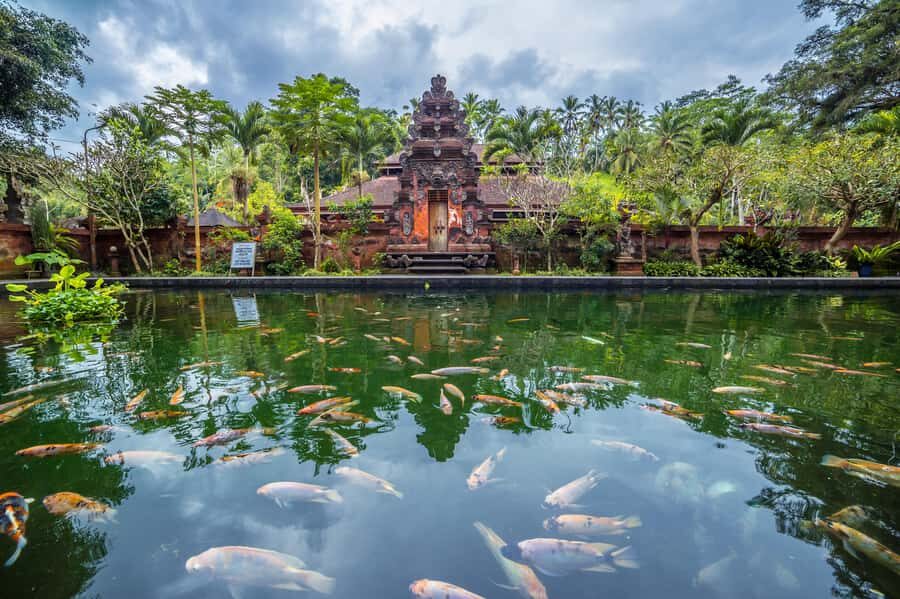 Bali: Jungle Trek, Waterfall Meditation & Water Blessing - What We Think About the Value