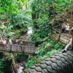 Bali: Kintamani Volcano, Monkey Forest & Rice Terrace Tour - Mount Batur: The Crown Jewel