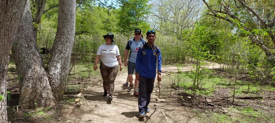 Bali: Komodo Island Guided Day Trip with Lunch and Snacks - Deep Dive into the Experience  