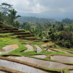 Bali Lake Bratan, Twin Lake, Jatiluwih Terrace, Hidden Waterfall - Exploring Bali’s Rice Culture at Jatiluwih