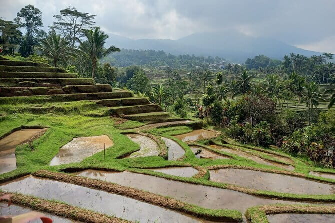 Bali Lake Bratan, Twin Lake, Jatiluwih Terrace, Hidden Waterfall - Exploring Bali’s Rice Culture at Jatiluwih