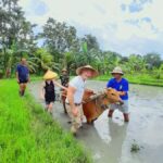 Bali: Legung Luwih Tabanan Village Activities - What Makes This Tour Stand Out?