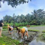 Bali: Legung Luwih Tabanan Village Activities - What to Expect from the Overall Experience