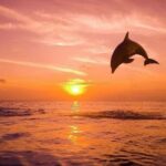 Bali: Lovina Dolphin And Snorkeling With Waterfalls Tours - Deep Dive into the Itinerary