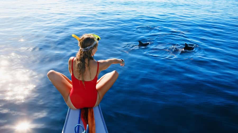 Bali/Lovina: Dolphin Snorkeling, Swimming & Waterfall Tour - The Practicalities: Transportation, Duration, and Group Size