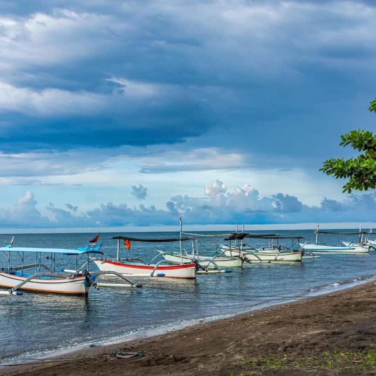 Bali: Lovina Dolphin Watching and Snorkeling Tour - Final Thoughts: Is It Worth It?