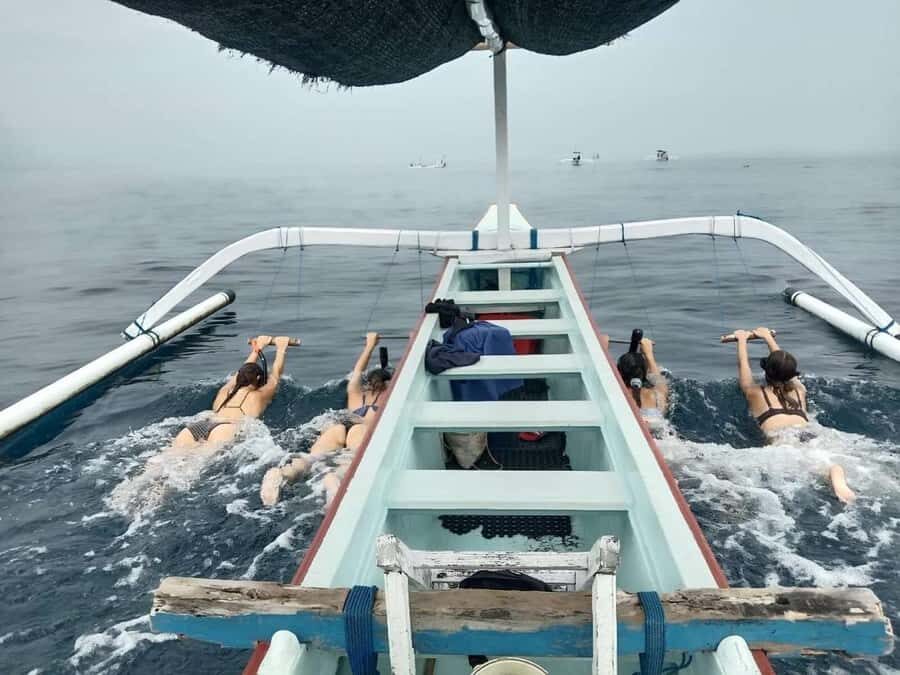 Bali: Lovina Dolphin Watching and Snorkeling Tour - The Detailed Itinerary and What You Can Expect