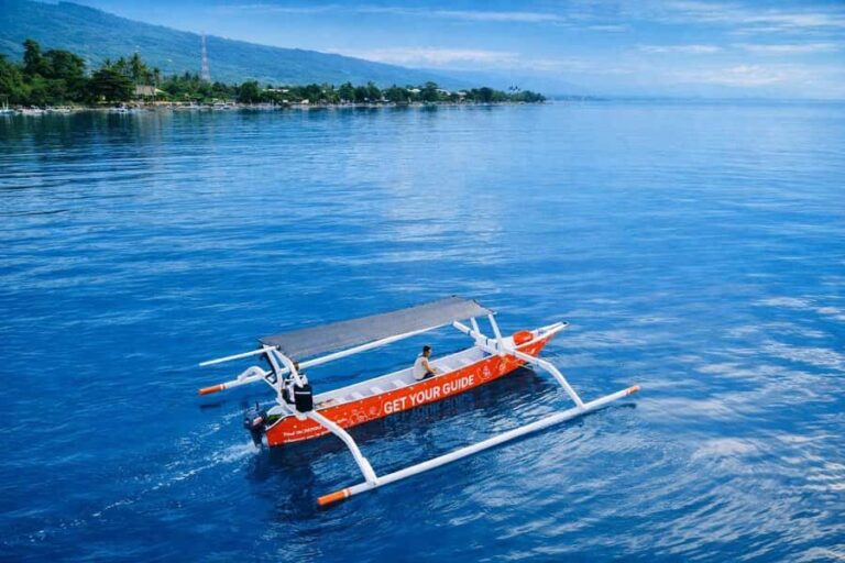 Bali/Lovina: Guided Dolphin Watching & Sunrise Boat Snorkel - What the Tours Include & Practical Details