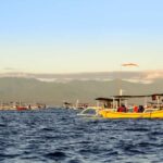 Bali: Lovina Marine Wonders, Dolphin Swim & Snorkeling. - Who Should Consider This Tour?