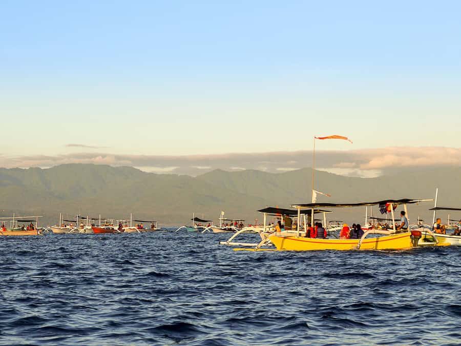 Bali: Lovina Marine Wonders, Dolphin Swim & Snorkeling. - Who Should Consider This Tour?