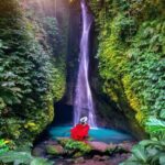 Bali: Monkey Forest Sangeh ,Temple & Waterfall- Private Tour - What Makes This Tour Stand Out?