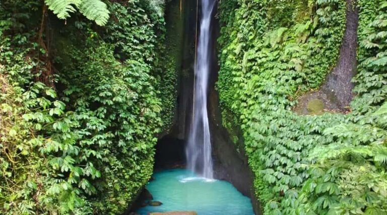 Bali: Monkey Forest Sangeh ,Temple & Waterfall- Private Tour - Deep Dive into the Experience