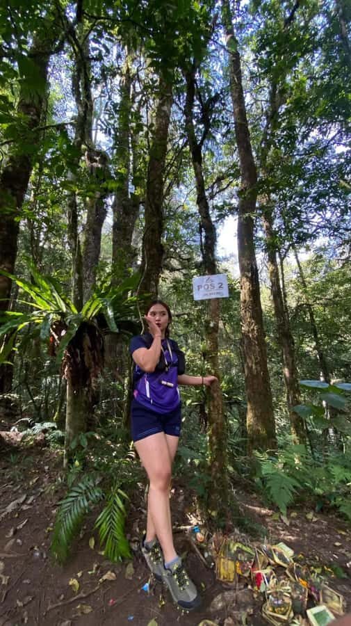 Bali: Mount Adeng Guided Hike with Temple Visit - The Trail and Its Highlights