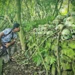 Bali: Mount Batur Jeep Sunrise & Trunyan Village Tour - Final Thoughts: Is This Tour for You?