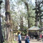 Bali: Mount Catur Trek from Pelaga and finish at Bedugul - The Itinerary in Detail