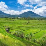 Bali: North Highlights Private Full-Day Customized Tour - Authentic Experiences and Guide Insights