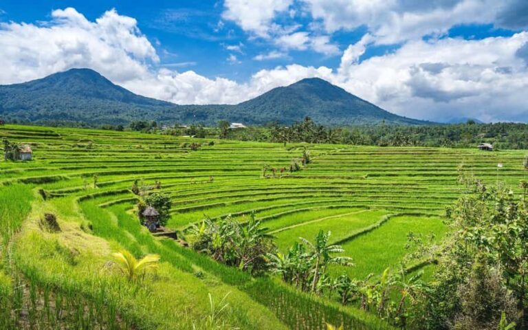 Bali: North Highlights Private Full-Day Customized Tour - Authentic Experiences and Guide Insights