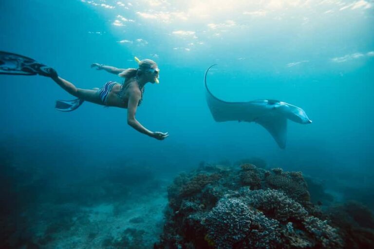 Bali/Nusa Penida: Manta Point Snorkel Boat & West Coast Tour - What Makes This Tour Stand Out?