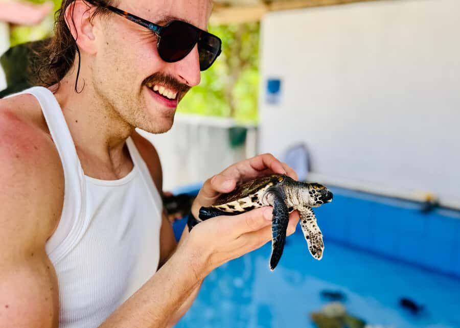 Bali: Nusa Penida: Turtle Conservation, Massive Cave Temple - What to Expect and Practical Tips  