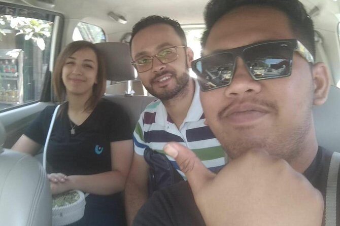 Bali Private Car Charter With Driver - How the Service Works: A Detailed Look