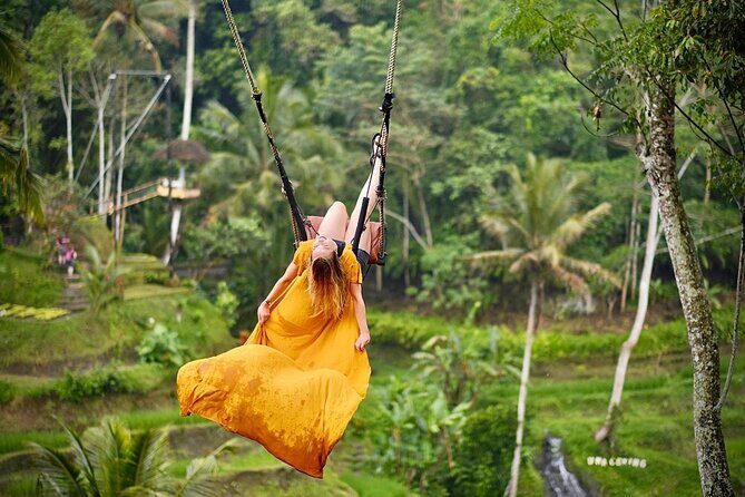 Bali Private Car Hire with English-Speaking Driver - What Makes This Tour Stand Out?