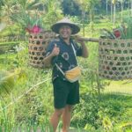 Bali Private Car Rental with Driver - Detailed Review of the Bali Private Car Rental with Driver