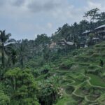 Bali Private Customizable Tour - What’s Included and What to Budget For