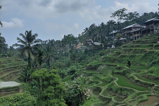 Bali Private Customizable Tour - What’s Included and What to Budget For