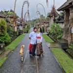 Bali: Private Day Trip to Waterfall & Traditional Village - The Itinerary in Detail