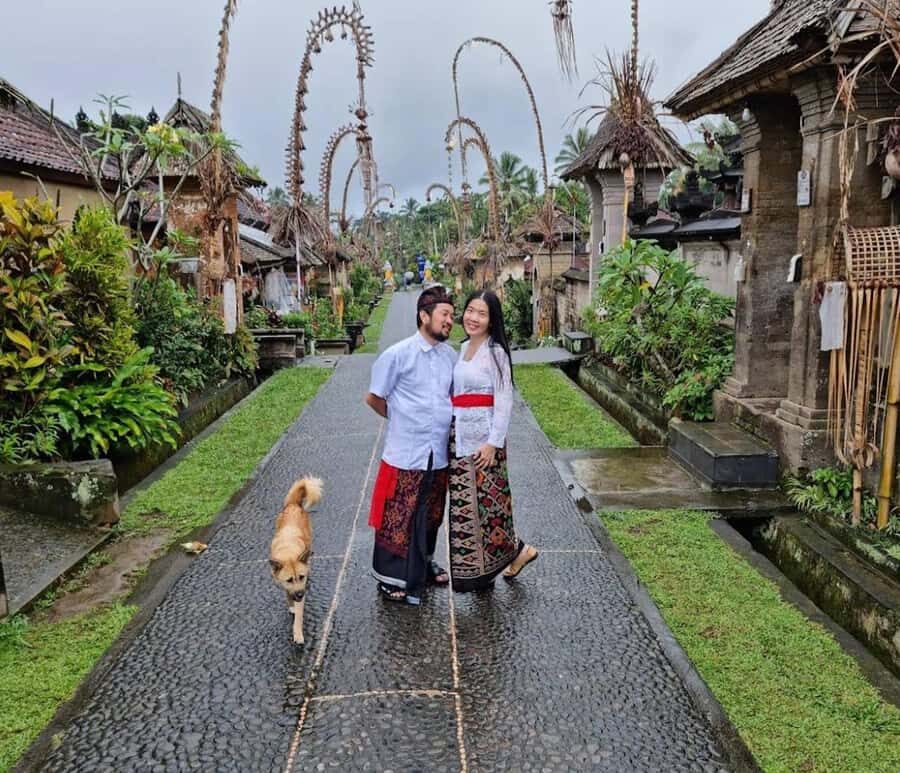 Bali: Private Day Trip to Waterfall & Traditional Village - The Itinerary in Detail