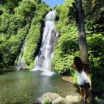 Bali: Private North Bali Tour with Lunch & Waterfall - Discovering the Charm of North Bali