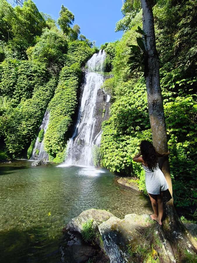 Bali: Private North Bali Tour with Lunch & Waterfall - Discovering the Charm of North Bali