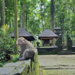 Bali Private Tour Nung-Nung Waterfall and Tanah Lot Temple - Authentic Touches and Insights from Reviews