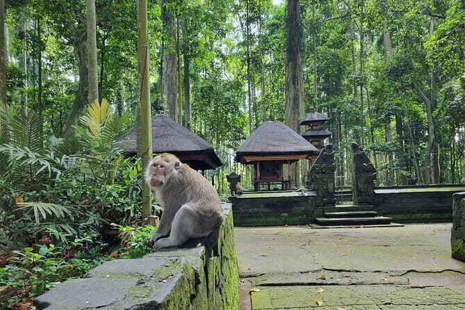Bali Private Tour Nung-Nung Waterfall and Tanah Lot Temple - Authentic Touches and Insights from Reviews