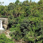 Bali Private Tour: Waterfall, Monkey forest and Tanah lot sunset - Who Would Love This Tour?