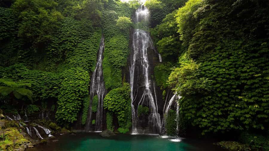 Bali: Private Waterfall Tour with Lunch and Hotel Pickup - Authentic Experiences and Practical Insights