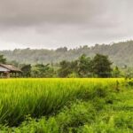 Bali: Private Waterfalls and Rice Terraces Day Trip - An Honest Look at Value and Experience