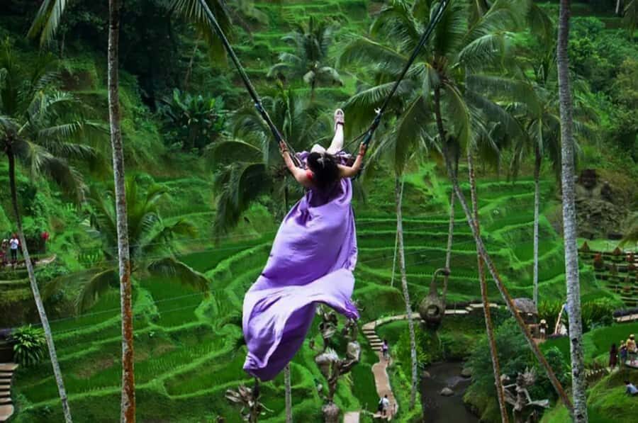 Bali: Private Waterfalls Tour with Hotel Pickup & Drop-off - A Deep Dive into the Waterfalls Experience